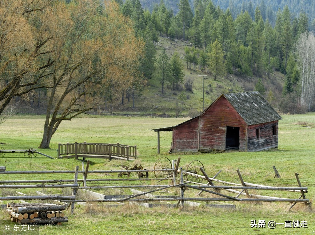 一目了然——《诗经》（256——265）