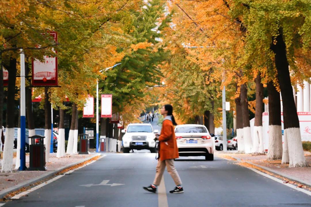 醉美大工秋|读书不觉已秋深，____________