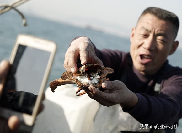 渔民直播卖虾,小渔村卖海鲜一年赚50亿