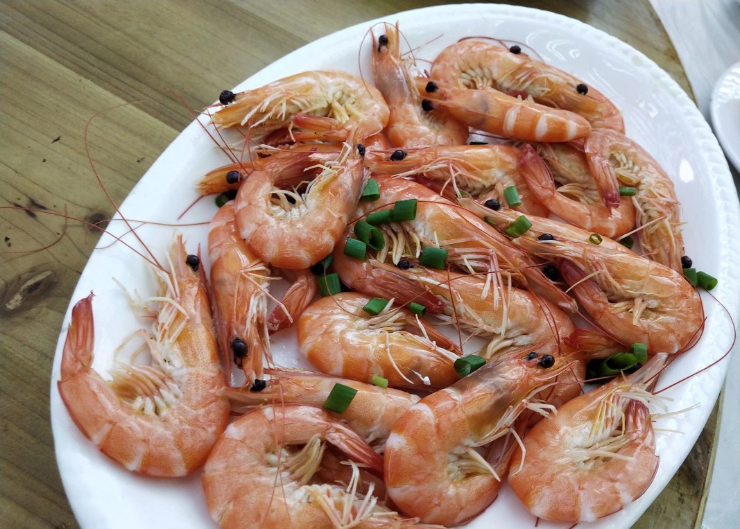 <html>
<head><title>502BadGateway</title></head>
<body>
<center><h1>502BadGateway</h1></center>
<hr><center>nginx</center>
</body>
</html>
<!--apaddingtodisableMSIEandChromefriendlyerrorpage-->
<!--apaddingtodisableMSIEandChromefriendlyerrorpage-->
<!--apaddingtodisableMSIEandChromefriendlyerrorpage-->
<!--apaddingtodisableMSIEandChromefriendlyerrorpage-->
<!--apaddingtodisableMSIEandChromefriendlyerrorpage-->
<!--apaddingtodisableMSIEandChromefriendlyerrorpage-->
