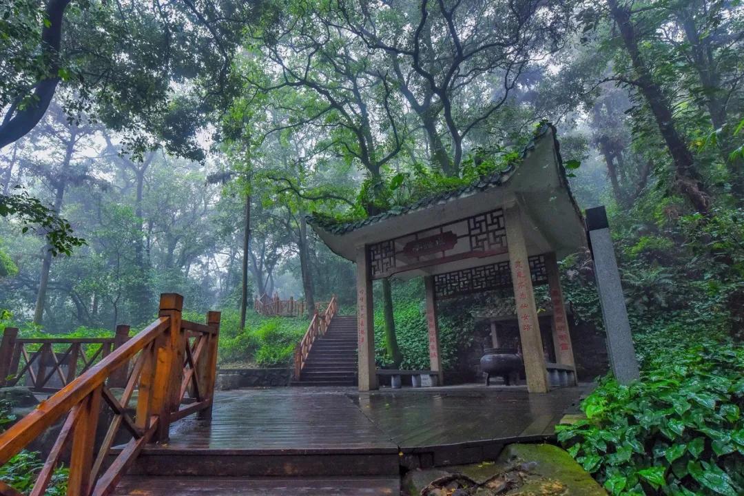 佛山西樵飞鸿故里,南海西樵飞鸿纪念馆