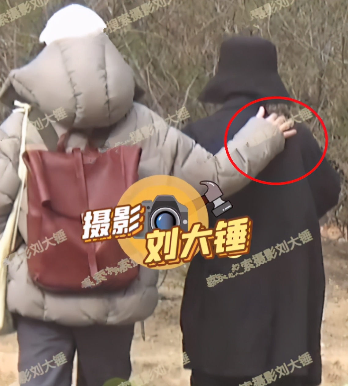 郭采洁伊德尔综艺节目,郭采洁和乐队成员谈恋爱