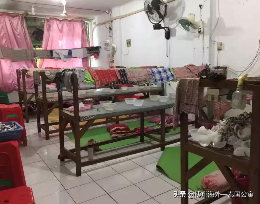 泰国燕窝和马来西亚哪个好,泰国燕窝马来燕窝外表差别