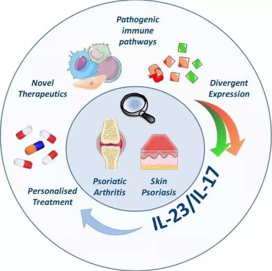 这条明星信号通路已催生多款重磅新药，治疗多种炎症性疾病