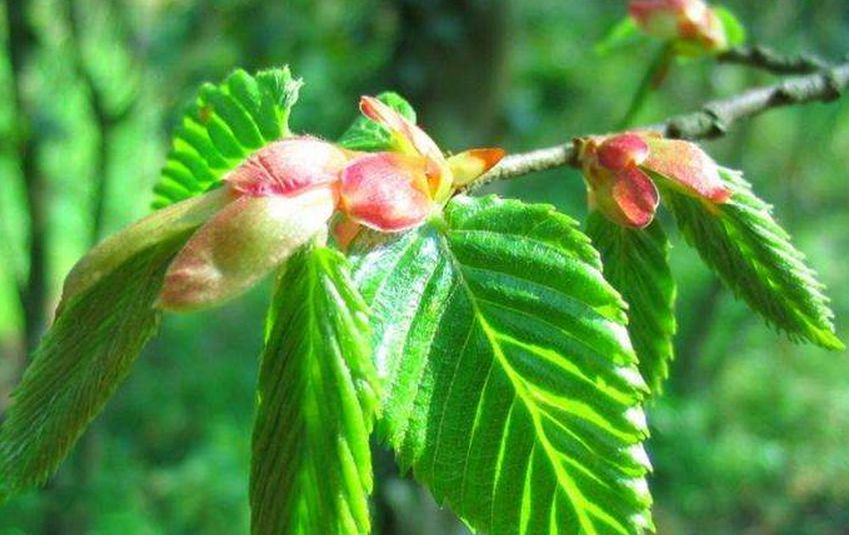 深圳到普陀山自驾游攻略最佳路线,2020普陀山奇异景象