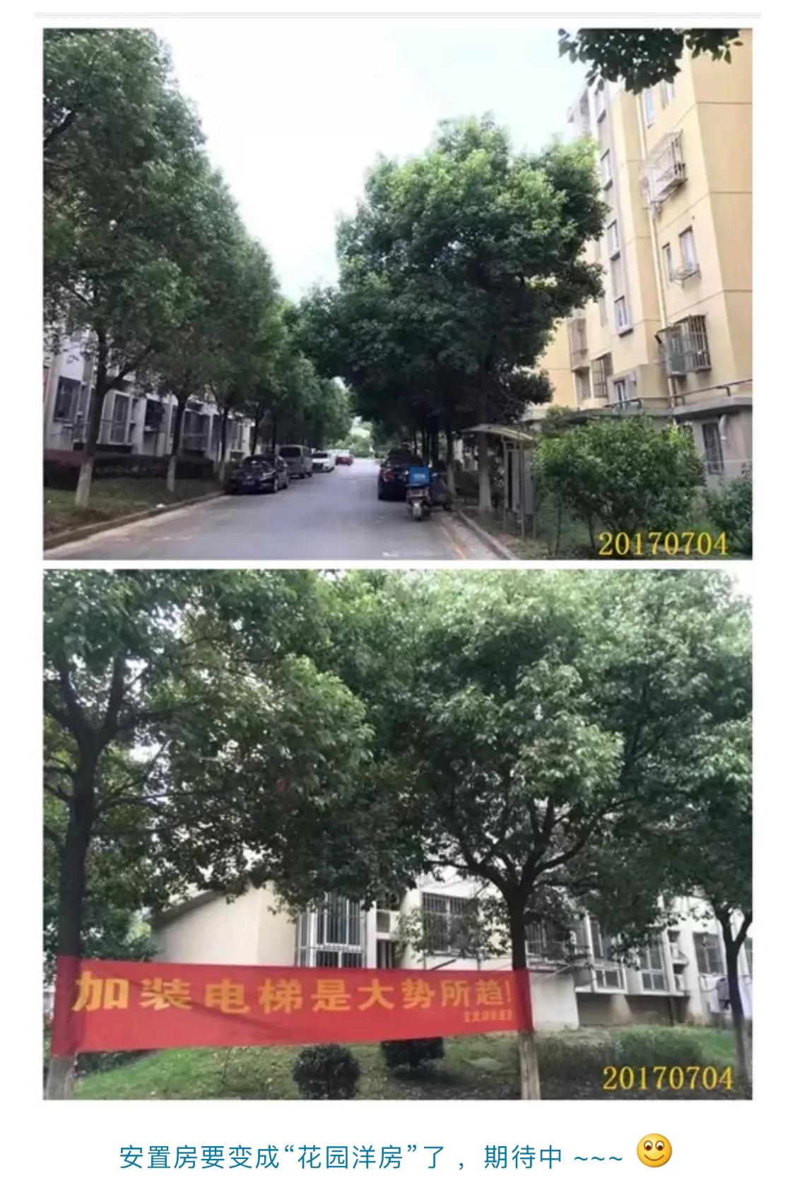 南京仙鹤门凶杀案,南京仙鹤门中学