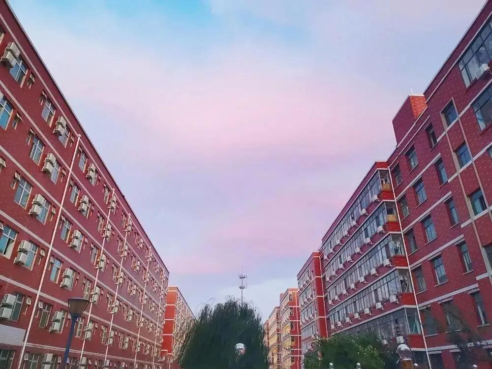 石家庄学院：一个拥有“别人家”图书馆的理想院校