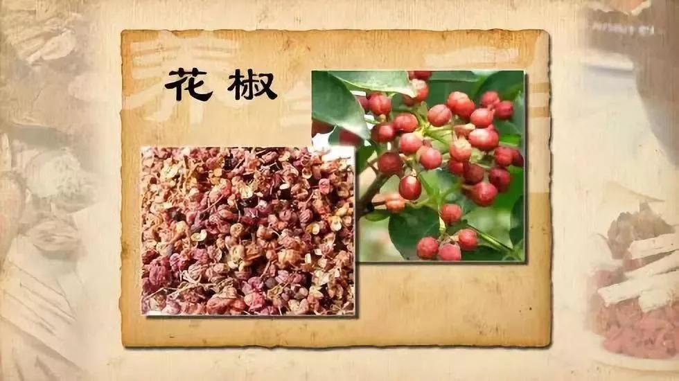 厨房调料也是一味药~花式用法好处多，祛湿、镇痛、助减肥，不妨试试