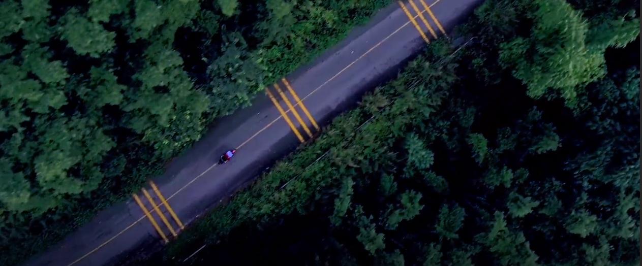 被毒杀的亲情纪录片,相杀相爱纪录片
