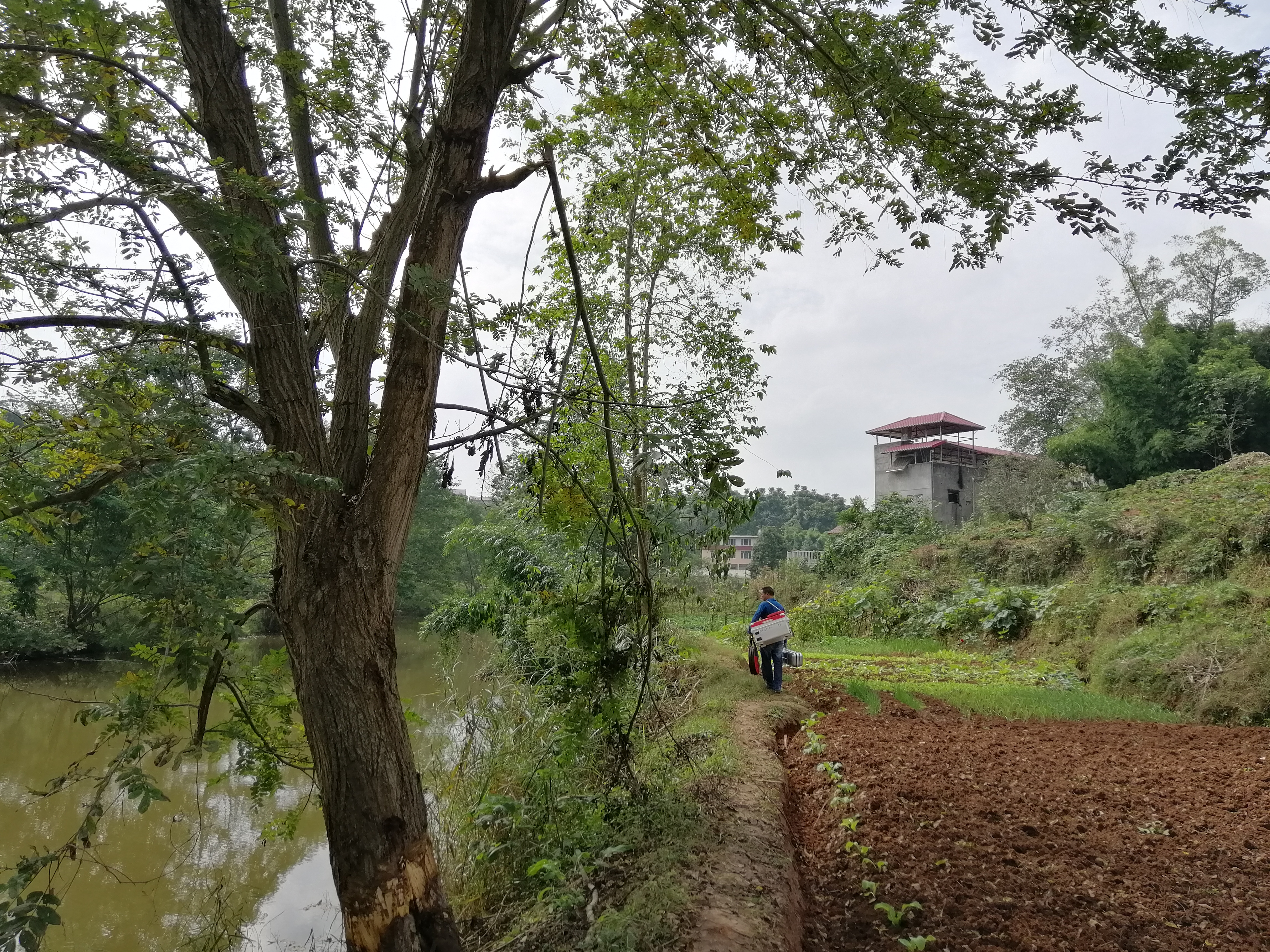 冬季小河沟野钓冰钓,春季小河钓鱼线组搭配