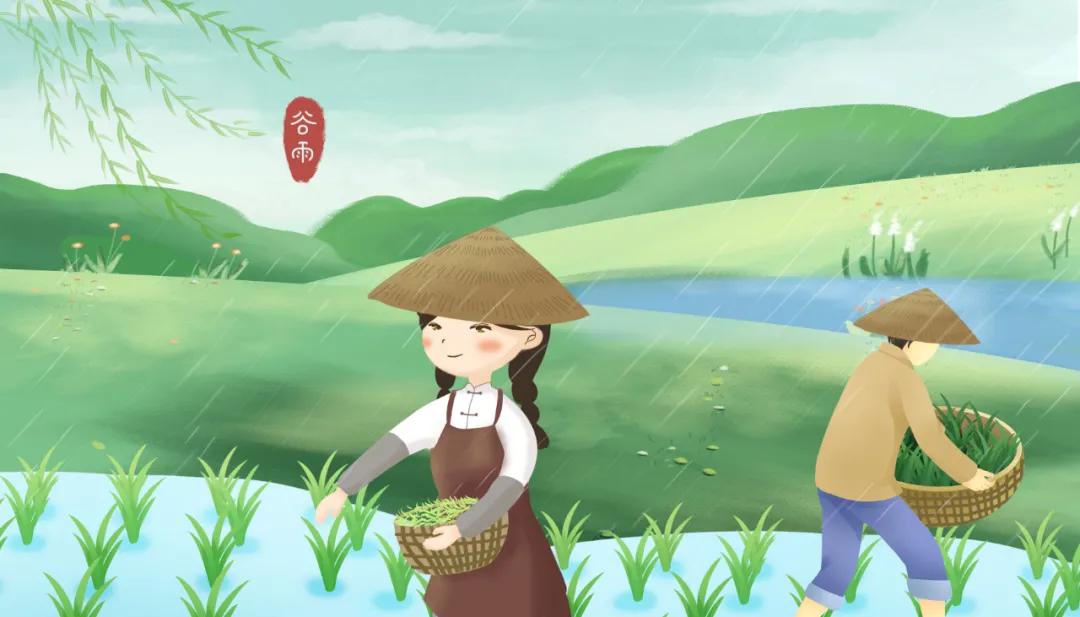 谷雨养肝祛湿正当时,春季养肝也要养胃饮食宜健脾养阳