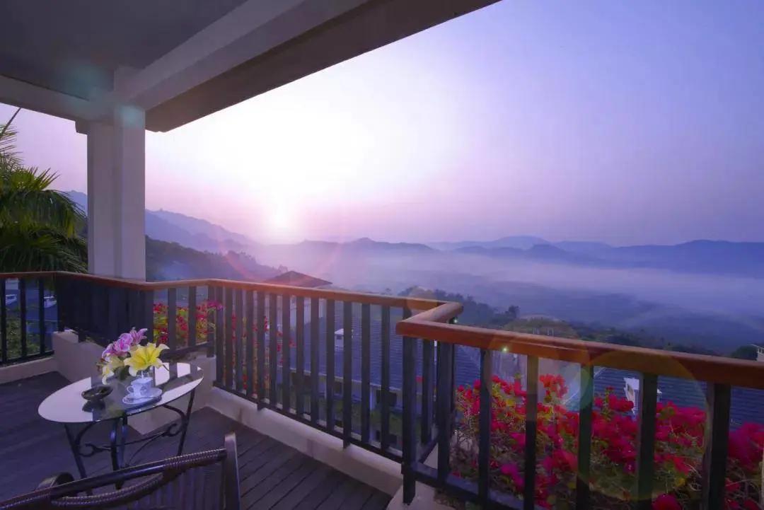 增城金叶子半山温泉，宛若漫步仙境！住温泉房，叹两餐+果园采摘