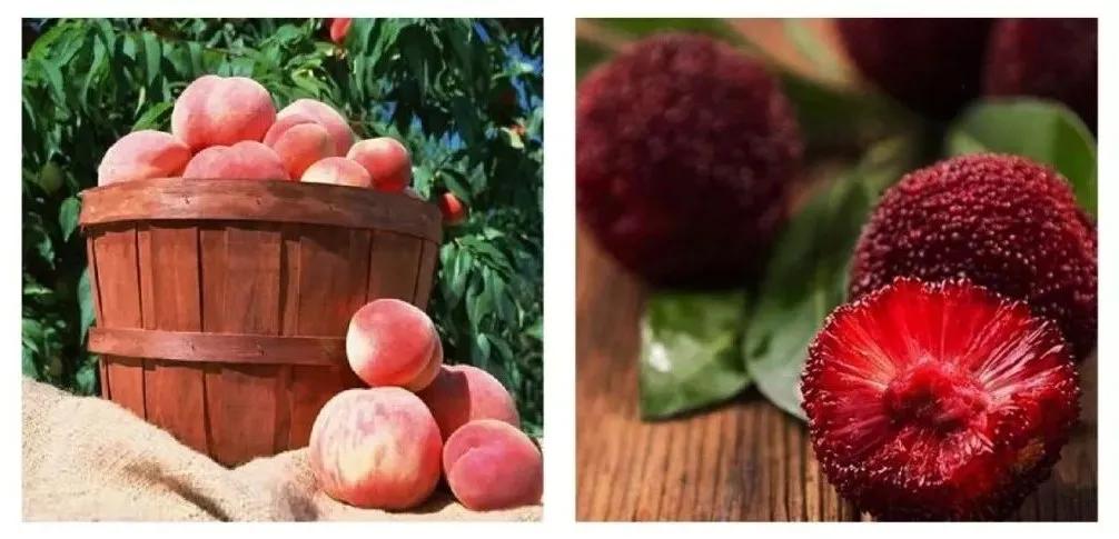 厦门同安周末踏青好去处,厦门岛内踏青景点大全