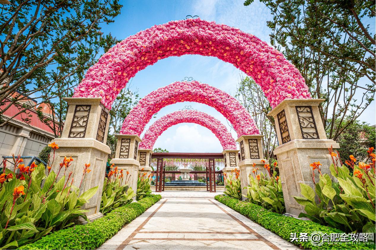 金寨恒大养生谷官方最新消息,金寨恒大养生谷特价