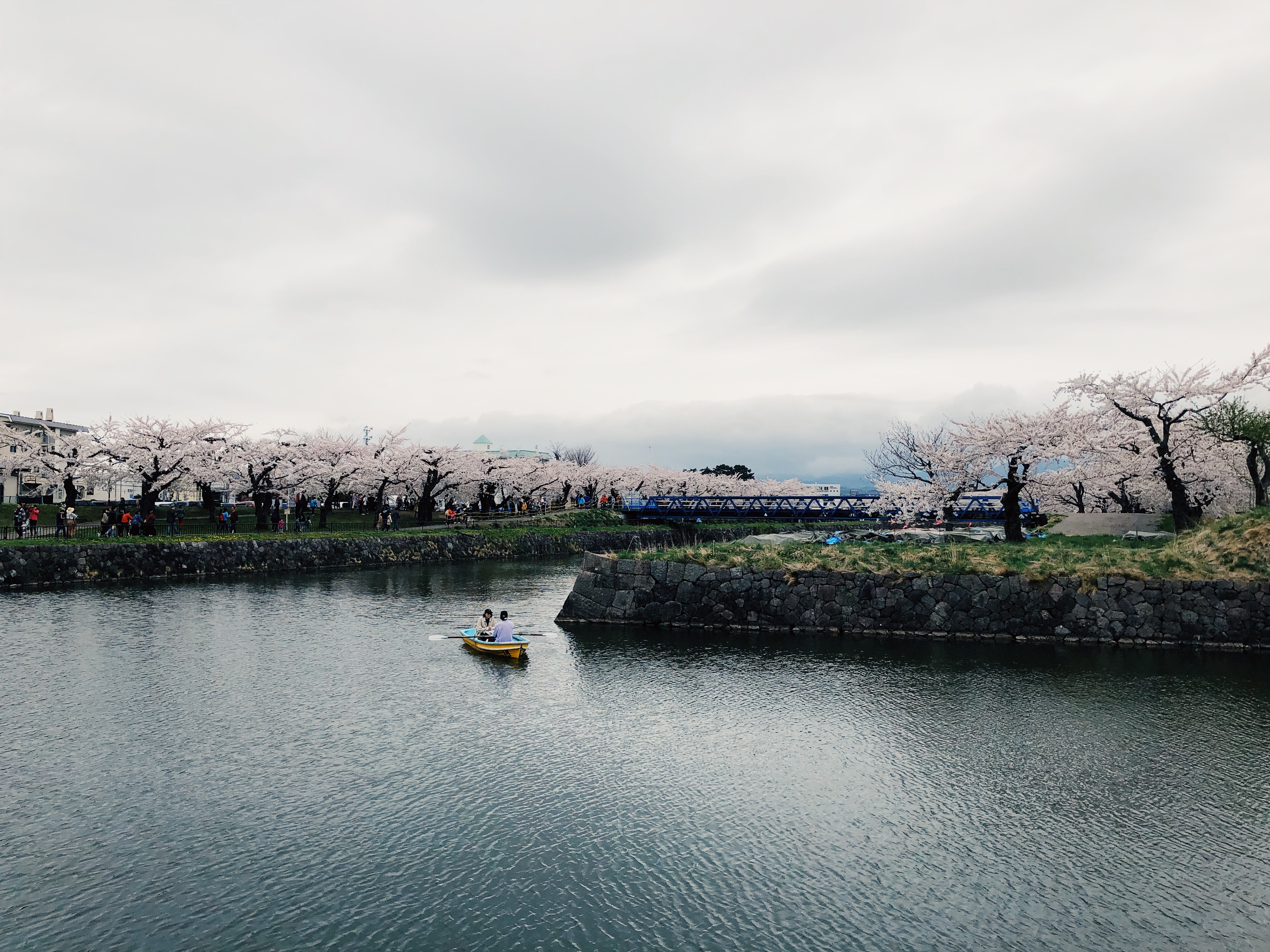 游轮7天6夜豪华游,和老人一起玩的游轮