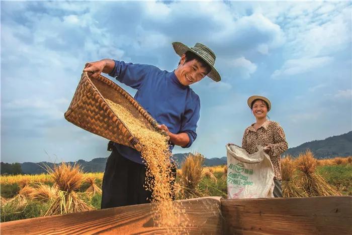 革命老区遵义贫困县全部出列