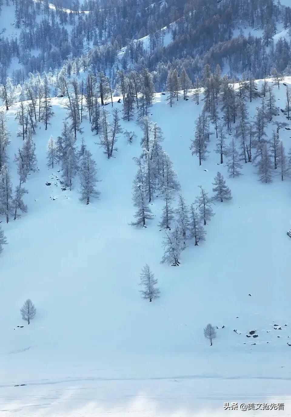 雪小禅意境经典语录,雪小禅的唯美句子