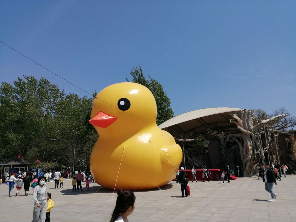 适合南戴河之旅的音乐,南戴河欢乐之旅