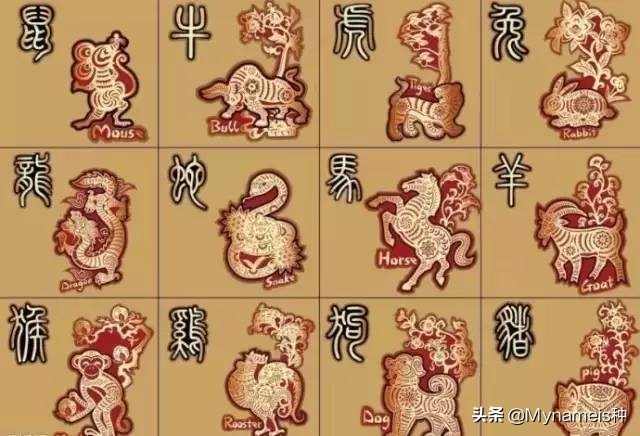 灞炵浉澶╁懡,澶╁懡灞炵浉