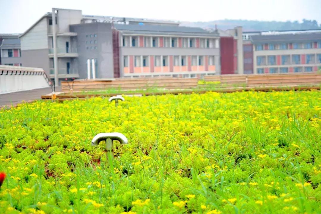 武汉最近哪所大学要搬新校区,武汉重点高中新校区