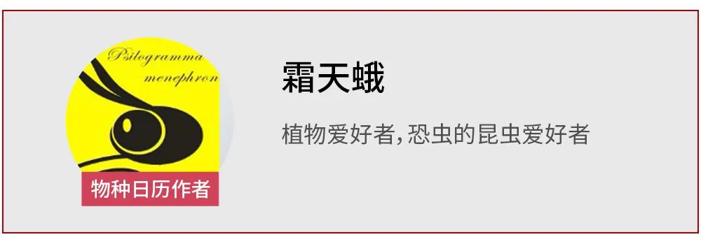 “我五谷不分。”“没关系，大家都分不清。”