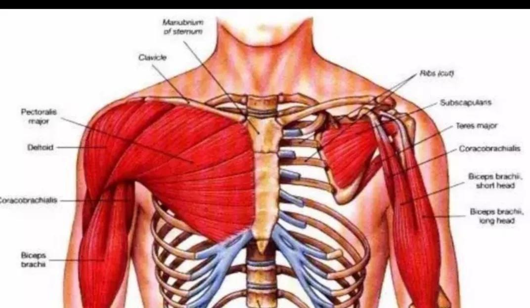 太极练功札记5,太极拳修行日志6式