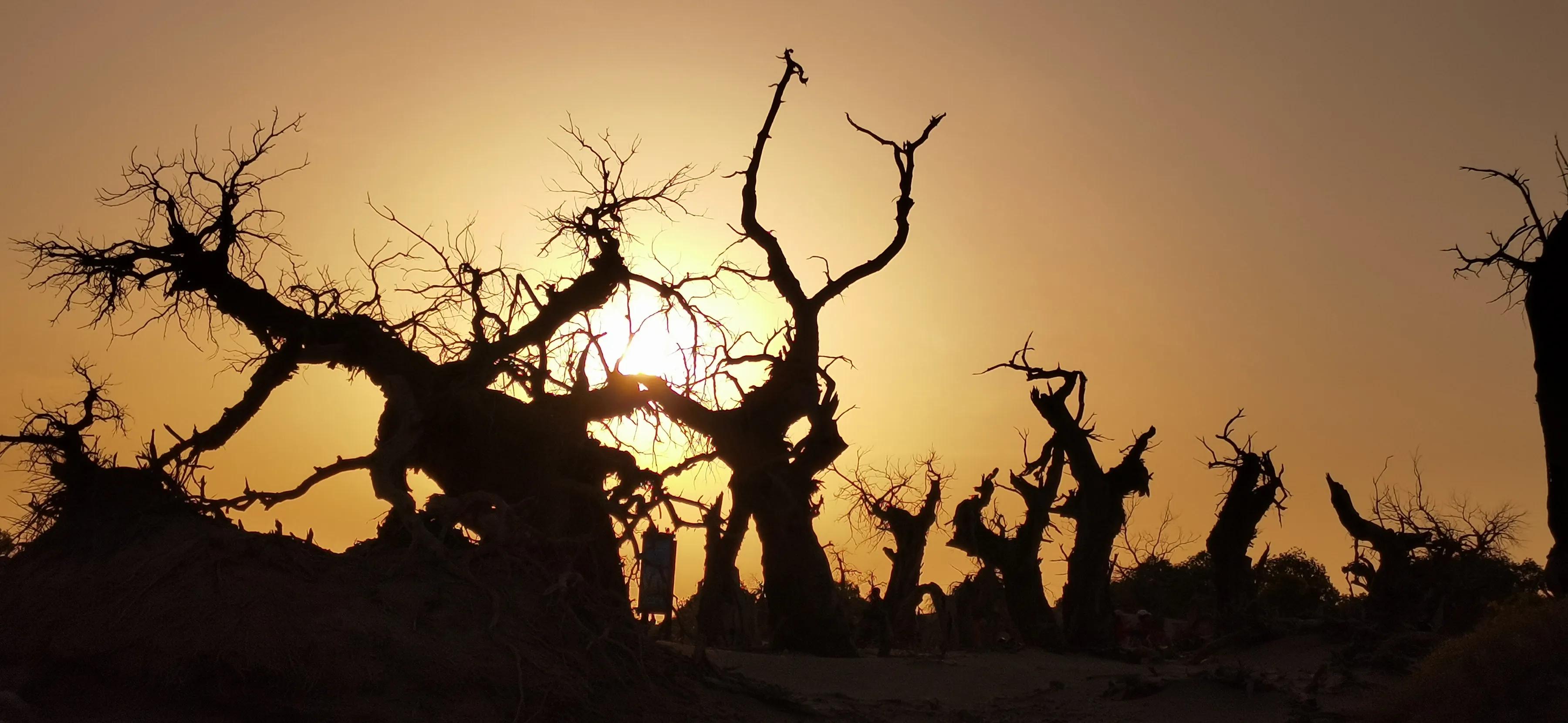 手拍世界手机摄影平台,手拍世界摄影交流平台