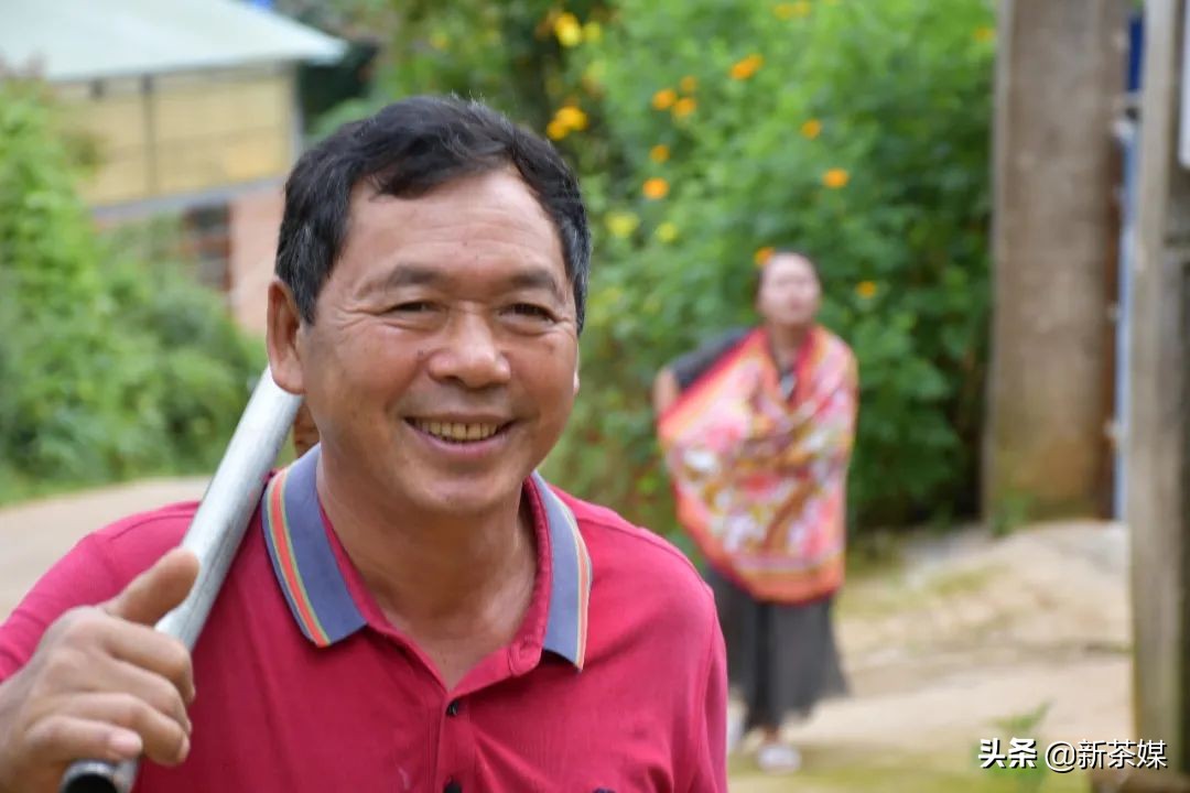 南糯山茶叶的故事,南糯山茶厂视频