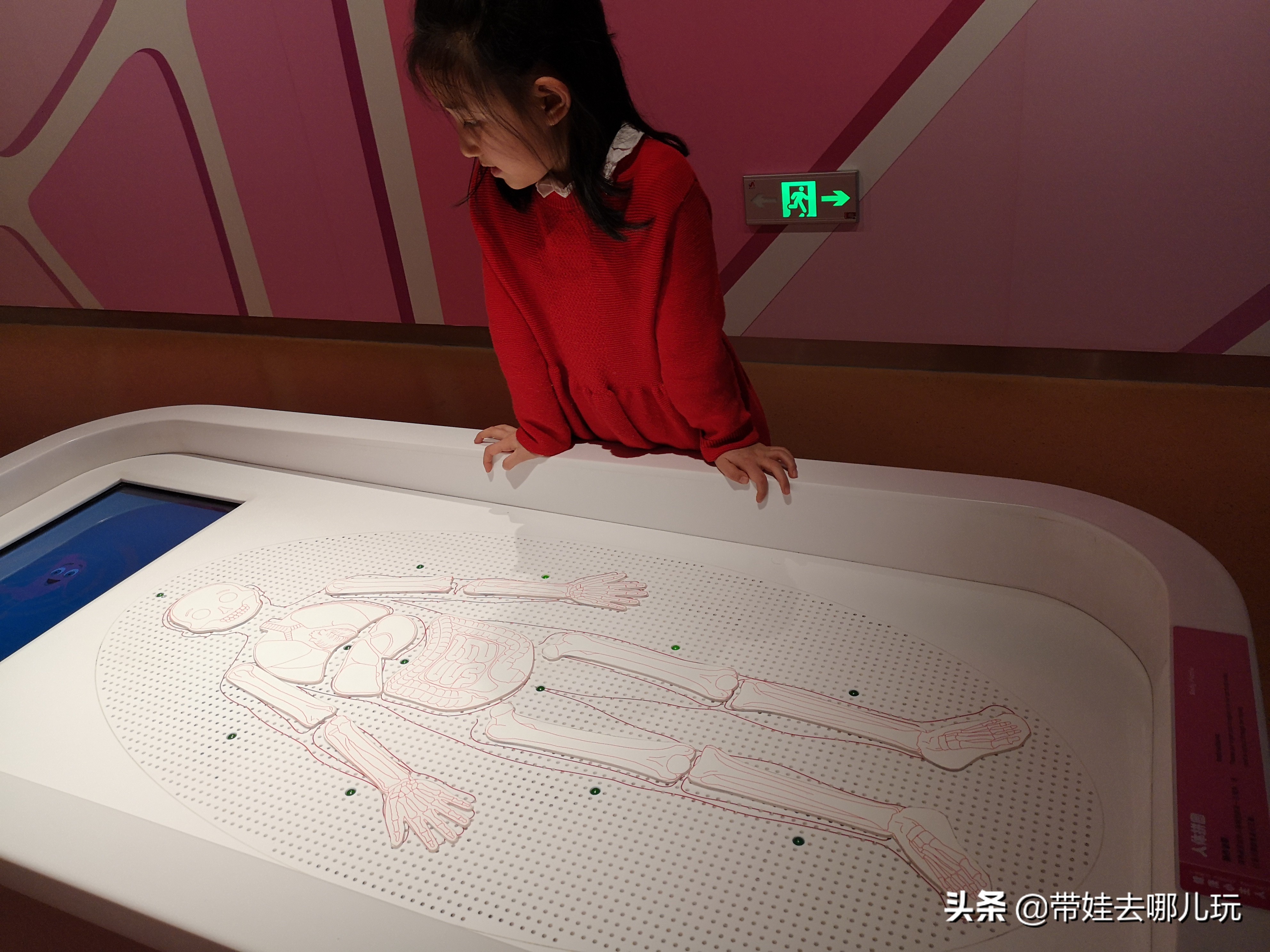 北京最大儿童乐园游乐场,北京最好玩的大童乐园