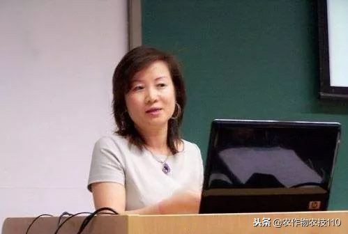 10万变5亿，这位女华人竟靠蜡烛征服总统夫人！