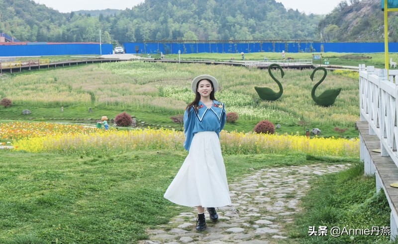 百里杜鹃花开如海,百里杜鹃百里盛开