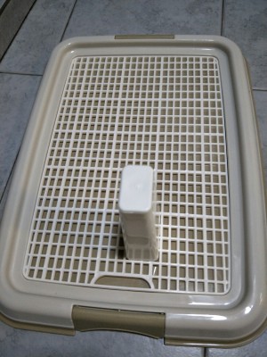 比熊狗狗怎么训练定点大小便视频,怎么教狗狗上厕所定点大小便