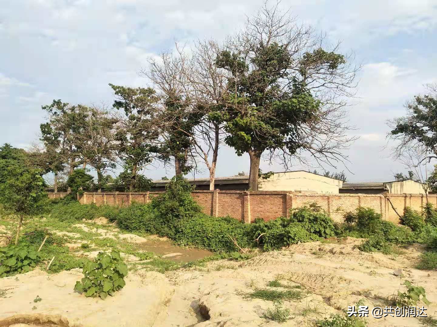 渭南崛起之六：渭南市人民医院（市妇幼保健院）新院址选址经开区