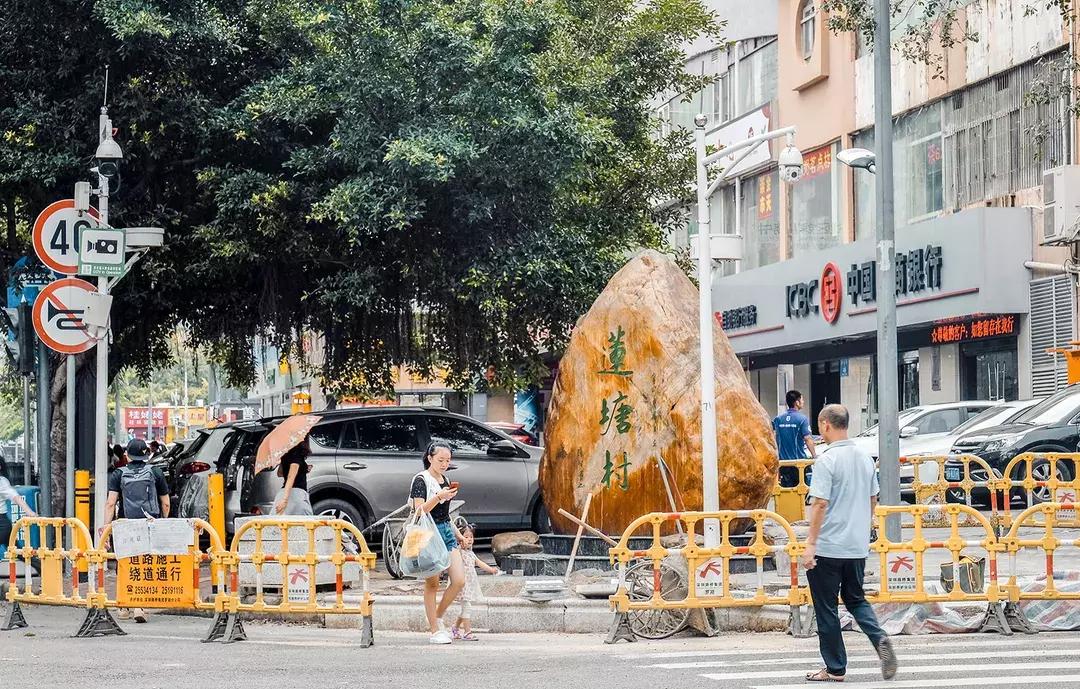 附近莲塘,附近的莲塘