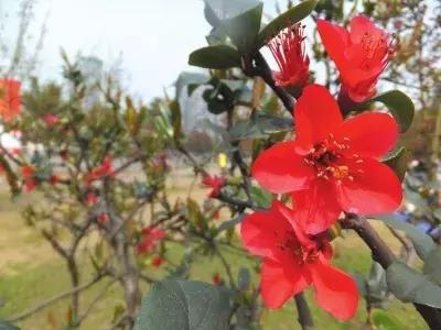 乐山大佛为何不属于石窟,乐山不止有大佛还有美食