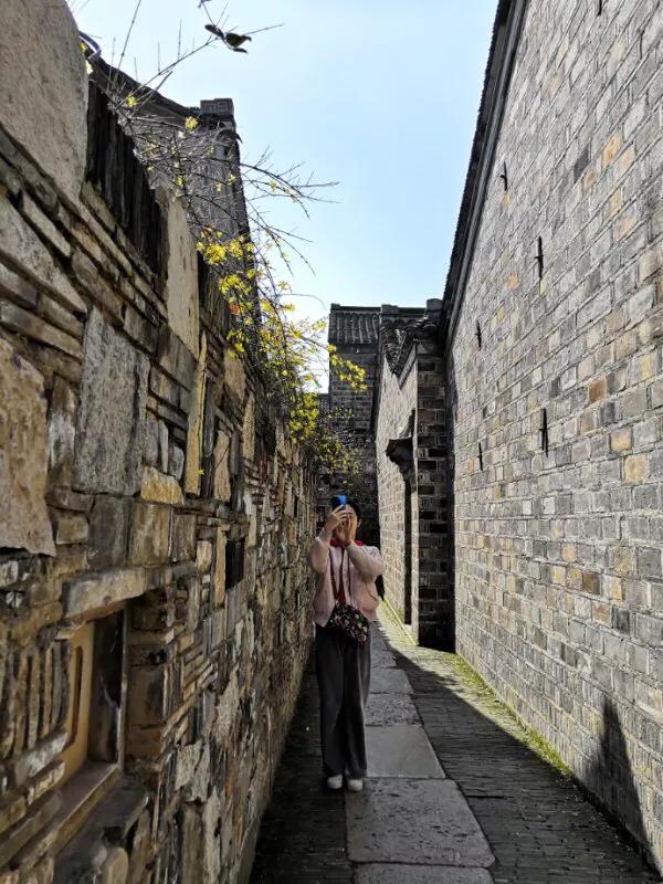 2022年世界手机摄影大赛征稿,手拍世界摄影网