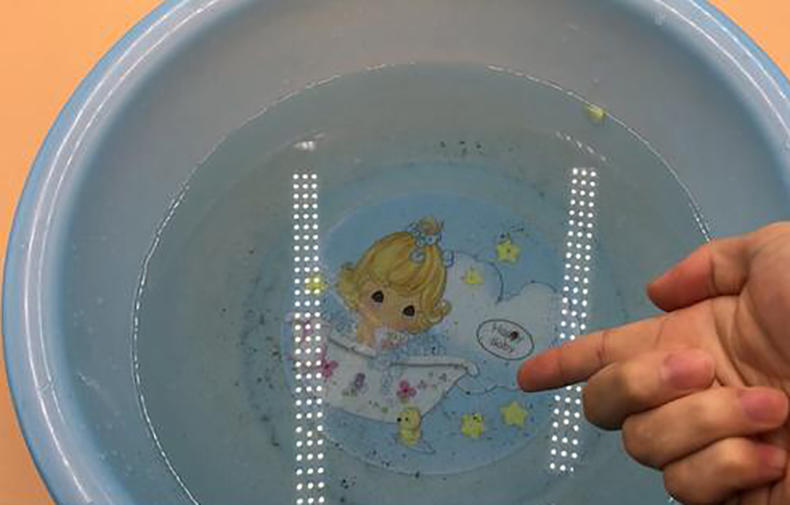 现在青菜哪种有营养,青菜的种类和食用方法