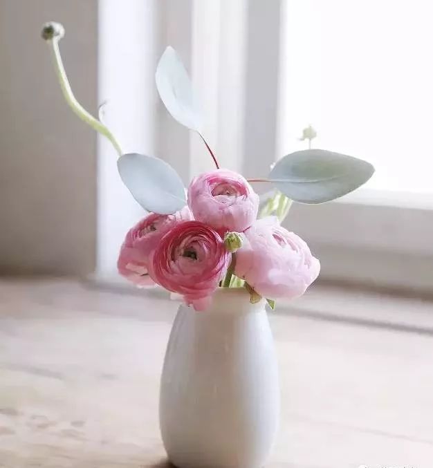 插花花材的固定技巧,三种花材插花教程新手入门