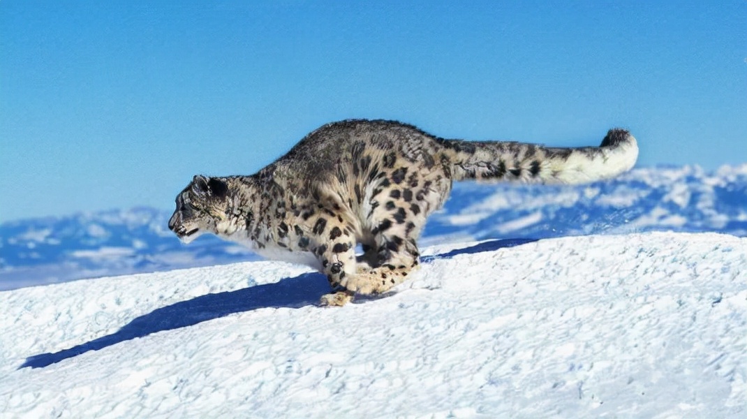 祖国北疆壮美山河,祖国大好河山新疆旅游