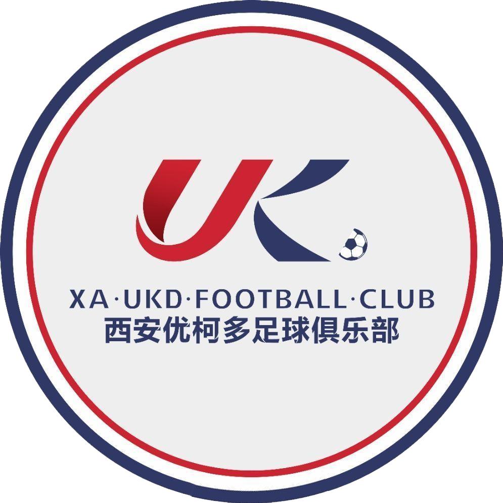 中国足球国家队的队徽变化史,各大足球队队徽盘点