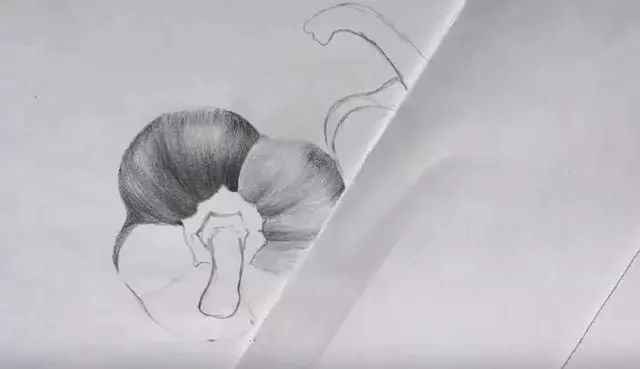 素描彩铅蔬菜画,蔬菜素描画法步骤图