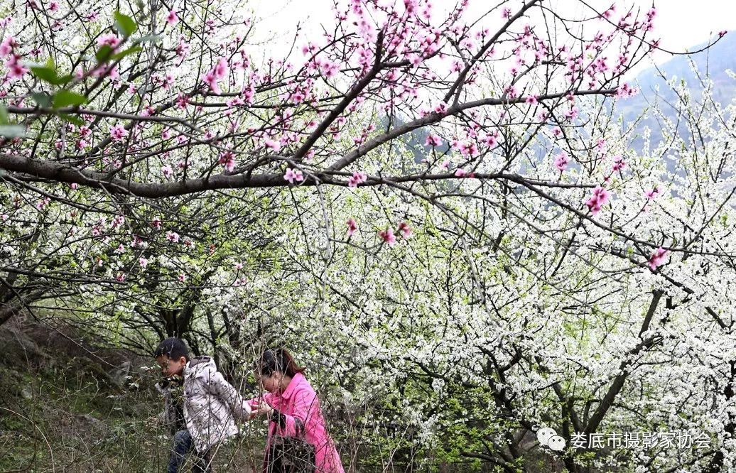 最新风景摄影小品欣赏,娄底景观小品