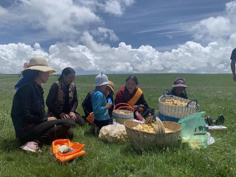 佛经里没有讲，草原上的女人不能搞直播