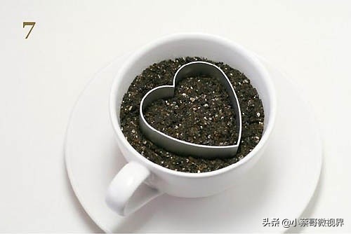 吃完的水果种子不要丢,吃完水果果核别扔