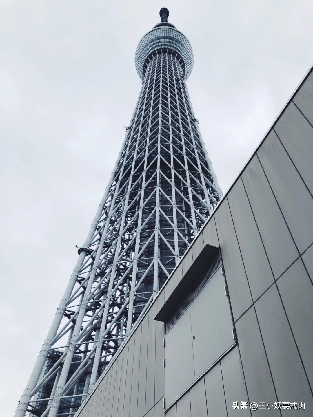 日本攻略自由行大阪,日本自由行攻略名古屋