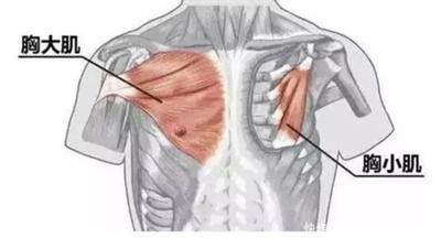 大人小孩含胸驼背怎么办?运动训练师教你一套简单易学动作