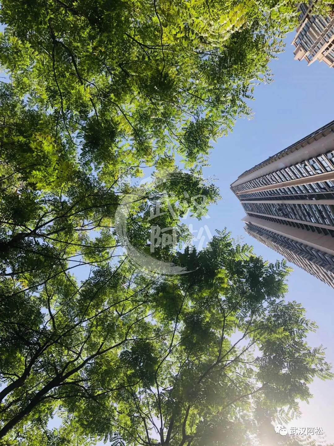 逆袭成功!总价100万起买二环!低价盘竟然成标杆!