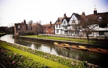 小学阶段英语单词常见23大分类,小学阶段英语单词大全23个类别