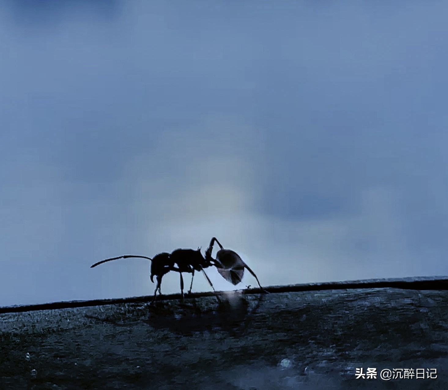 儿子用他的马大哈,来了一次实力坑爹