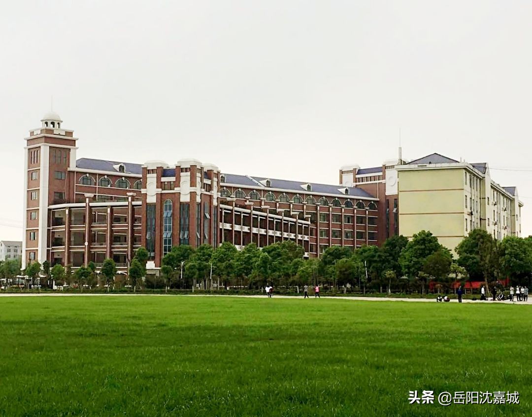 岳阳民办高中排名前十的学校,岳阳民办高中录取分数线